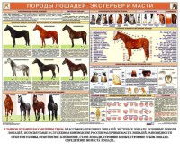 Комплект плакатов "Служебное коневодство" - fgospostavki.ru - Екатеринбург