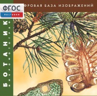 Ботаника. Микрофотографии. (Цифровая база изображений) - fgospostavki.ru - Екатеринбург