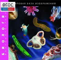 Биология. Микрофотографии. (Цифровая база изображений) - fgospostavki.ru - Екатеринбург