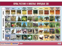 Таблица демонстрационная "Почвы, растения и животные природных зон" (винил 70*100) - fgospostavki.ru - Екатеринбург