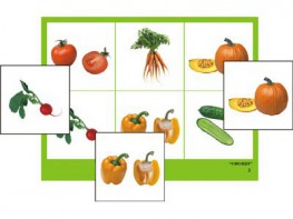 Логопедическое лото "Овощи" (4 планшета, 24 карточки, цветное, ламинированное) - fgospostavki.ru - Екатеринбург