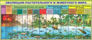 Стенд "Эволюция растительного и животного мира" - fgospostavki.ru - Екатеринбург