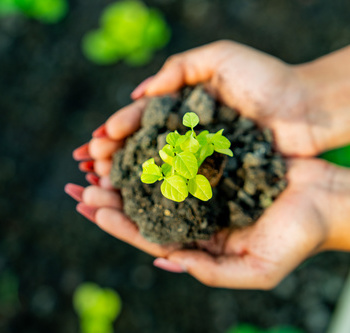 Инженерные биологические системы: междисциплинарное образование в школах - fgospostavki.ru - Екатеринбург