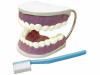 Модель "Гигиена зубов" - «ФГОС Поставки»