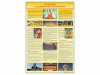 Стенд "История буддистской культуры" - «ФГОС Поставки»