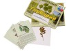 Гербарий "Растительные сообщества. Лес" (9 видов, 10 планшетов, с иллюстрациями и фотографиями) - «ФГОС Поставки»
