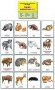 Раздаточные карточки "Дикие животные (1)" - «ФГОС Поставки»