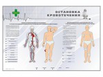 Электрифицированный стенд "Остановка кровотечения" - fgospostavki.ru - Екатеринбург