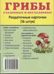 Раздаточные карточки "Грибы съедобные и не съедобные" - fgospostavki.ru - Екатеринбург