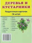 Раздаточные карточки "Деревья и кустарники" - fgospostavki.ru - Екатеринбург