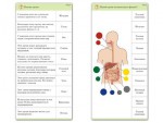 Комплект карточек (10) "Обучающий калейдоскоп. Человек" - fgospostavki.ru - Екатеринбург