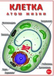 DVD "Клетка - "атом жизни" - «ФГОС Поставки»