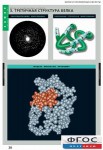Комплект таблиц. Химия. Белки и нуклеиновые кислоты. - fgospostavki.ru - Екатеринбург