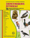 Демонстрационные карточки "Зимующие птицы" - fgospostavki.ru - Екатеринбург