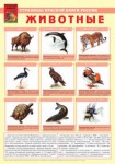 Комплект плакатов "Красная Книга России (животные, растения)" - «ФГОС Поставки»