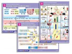 Комплект таблиц по органической химии "Реакции органических веществ" (6 таблиц, формат А1, ламинированные) - fgospostavki.ru - Екатеринбург