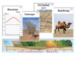 Модель-аппликация "Природные зоны" - fgospostavki.ru - Екатеринбург