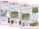 Комплект таблиц по географии "Природные зоны России" раздаточные (цветные, ламинированные, А4, 10 штук) - fgospostavki.ru - Екатеринбург