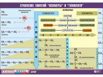 Таблица демонстрационная "Сравнение понятий изомер и гомолог" (винил 100x140) - fgospostavki.ru - Екатеринбург