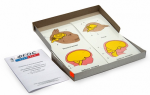 Модель-аппликация "Эволюция головного мозга позвоночных животных и человека" (набор из 7 карт) - «ФГОС Поставки»