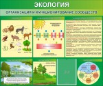 Стенд "Экология. Организация и функционирование сообществ" - fgospostavki.ru - Екатеринбург