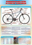Стенд "Принципиальная схема устройства велосипеда" - «ФГОС Поставки»