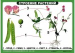 Комплект таблиц "Ознакомление с окружающим миром 1-4 класс" - fgospostavki.ru - Екатеринбург