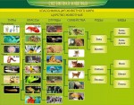 Стенд "Систематика животных" - «ФГОС Поставки»