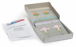 Модель-аппликация "Строение цветка" (набор из 11 карт) - «ФГОС Поставки»
