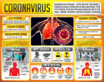 Плакат "Коронавирус" (вариант 2) - fgospostavki.ru - Екатеринбург