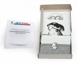 Модель-аппликация "Размножение шляпочного гриба" (набор из 9 карт) - «ФГОС Поставки»