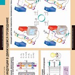 Комплект таблиц. Физика. Электромагнетизм. - fgospostavki.ru - Екатеринбург