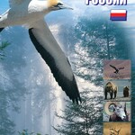 DVD "Природные зоны России" - fgospostavki.ru - Екатеринбург