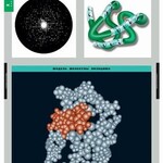 Комплект таблиц. Химия. Белки и нуклеиновые кислоты. - fgospostavki.ru - Екатеринбург