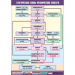 Таблица демонстрационная "Генетическая связь органических веществ" (винил 100x140) - fgospostavki.ru - Екатеринбург