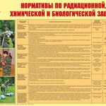 Плакат "Нормативы по радиационной, химической и биологической защите" - fgospostavki.ru - Екатеринбург