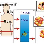 Модель-аппликация "Явление радиоактивности" (ламинированная) - fgospostavki.ru - Екатеринбург