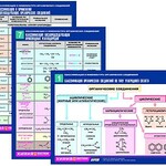 Комплект таблиц по химии раздаточные "Классификация и номенклатура органических соединений" (цветные, ламинированные, А4, 16 штук) - fgospostavki.ru - Екатеринбург