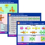 Комплект таблиц по химии раздаточных "Виды и формы электронных орбиталей" (цветные, ламинированные, А4, 6 штук) - fgospostavki.ru - Екатеринбург