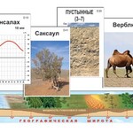 Модель-аппликация "Природные зоны" - fgospostavki.ru - Екатеринбург