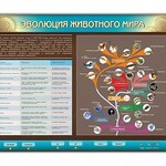 Интерактивный электрифицированный стенд "Эволюция животного мира" - fgospostavki.ru - Екатеринбург