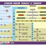 Таблица демонстрационная "Сравнение понятий изомер и гомолог" (винил 70x100) - fgospostavki.ru - Екатеринбург