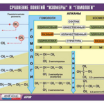 Таблица демонстрационная "Сравнение понятий изомер и гомолог" (винил 100x140) - fgospostavki.ru - Екатеринбург