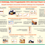 Таблица "Общий порядок оказания первой помощи пострадавшим" (100х140 сантиметров, винил) - fgospostavki.ru - Екатеринбург