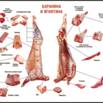 Таблица "Правила разделки мясных туш. Баранина и ягнятина" (100х140 сантиметров, винил) - fgospostavki.ru - Екатеринбург