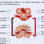 Интерактивные курсы. Биология 9 класс. Расширенный. - fgospostavki.ru - Екатеринбург