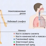 Интерактивные курсы. Биология 9 класс. Базовый. - fgospostavki.ru - Екатеринбург