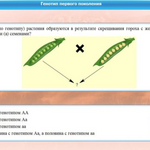 Интерактивные курсы. Биология 11 класс. Базовый. - fgospostavki.ru - Екатеринбург