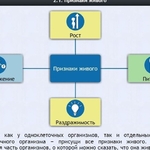 Интерактивные курсы. Биология 5 класс. Базовый - fgospostavki.ru - Екатеринбург