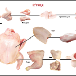 Таблица "Правила разделки мясных туш. Курица" (100х140 сантиметров, винил) - fgospostavki.ru - Екатеринбург